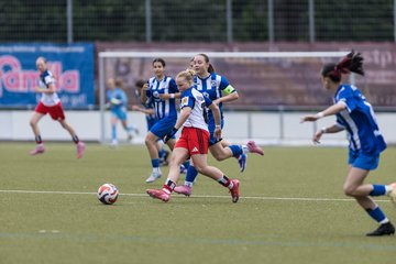 Bild 255 - wBJ Hamburger SV - FC Suederelbe : Ergebnis: 9:0